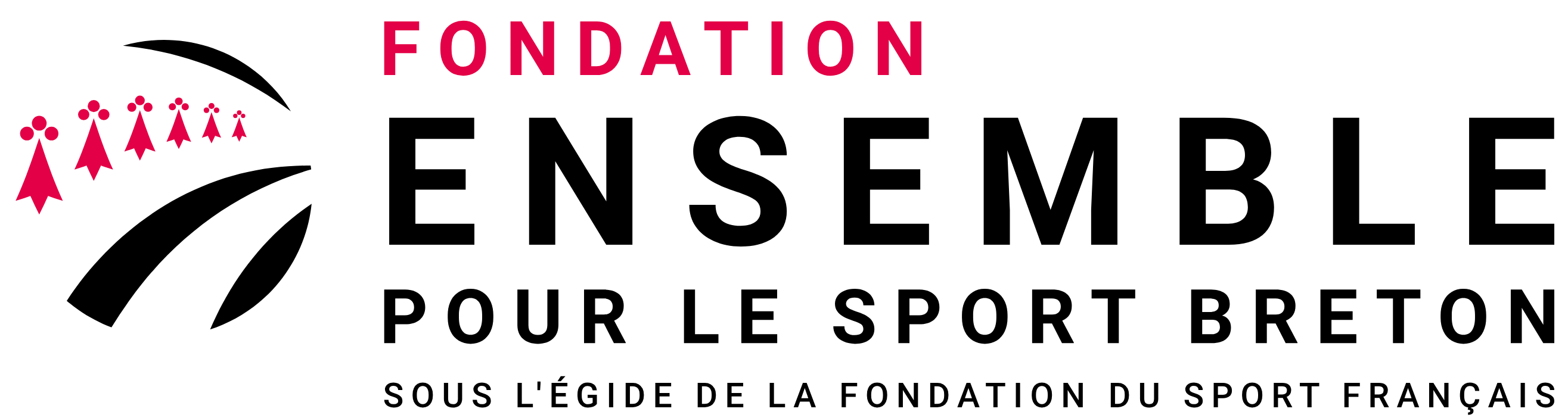 Logo de la Fondation Ensemble pour le sport breton